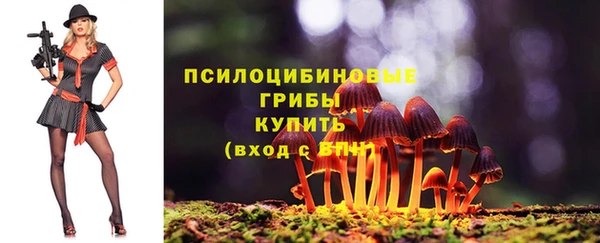 Альфа ПВП Ладушкин