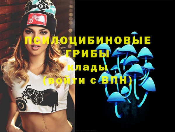 Альфа ПВП Ладушкин