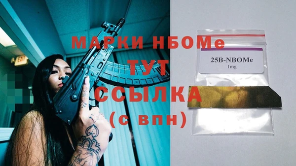 мдпв Лагань