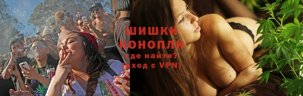 мдпв Лагань