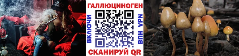 мега ONION  Щучье  Псилоцибиновые грибы мухоморы 